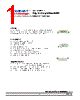 DSA-CSS Datasheet HTML 1Page - DOMINANT Semiconductors 