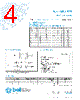5TTP6-R Datasheet HTML 4Page - Bel Fuse Inc. 