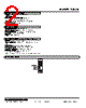 10LCK-2G0-R Datasheet HTML 2Page - M-System Co.,Ltd. 