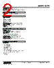 M2FV-R2/CE Datasheet HTML 2Page - M-System Co.,Ltd. 