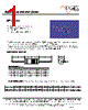 MF1304T-R18 Datasheet HTML 1Page - ECM Electronics Limited. 
