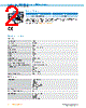 IRS100-R53OF20 Datasheet HTML 2Page - SICK AG 